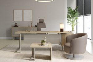 Zeta Yönetici Masası: Prestij ve İşlevselliğin Kesişimi